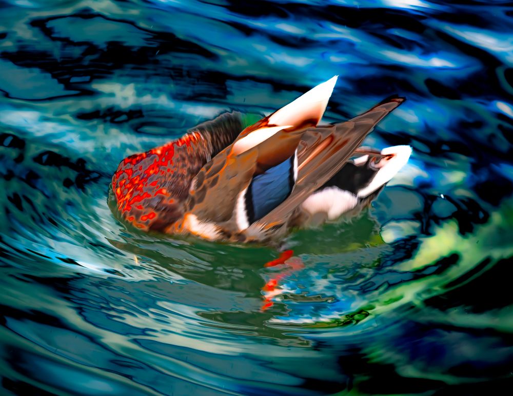 06.1 114 Alison Caviezel